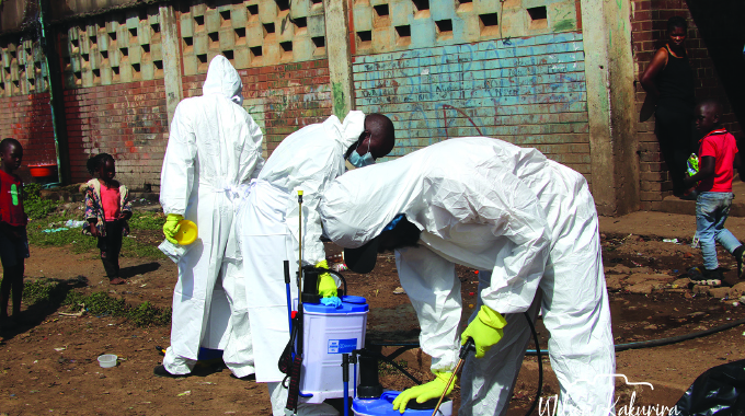 Mbare bed bug outbreak contained
