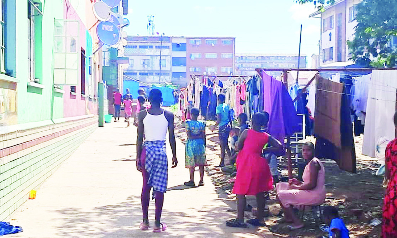 Bedbugs haunt Mbare residents