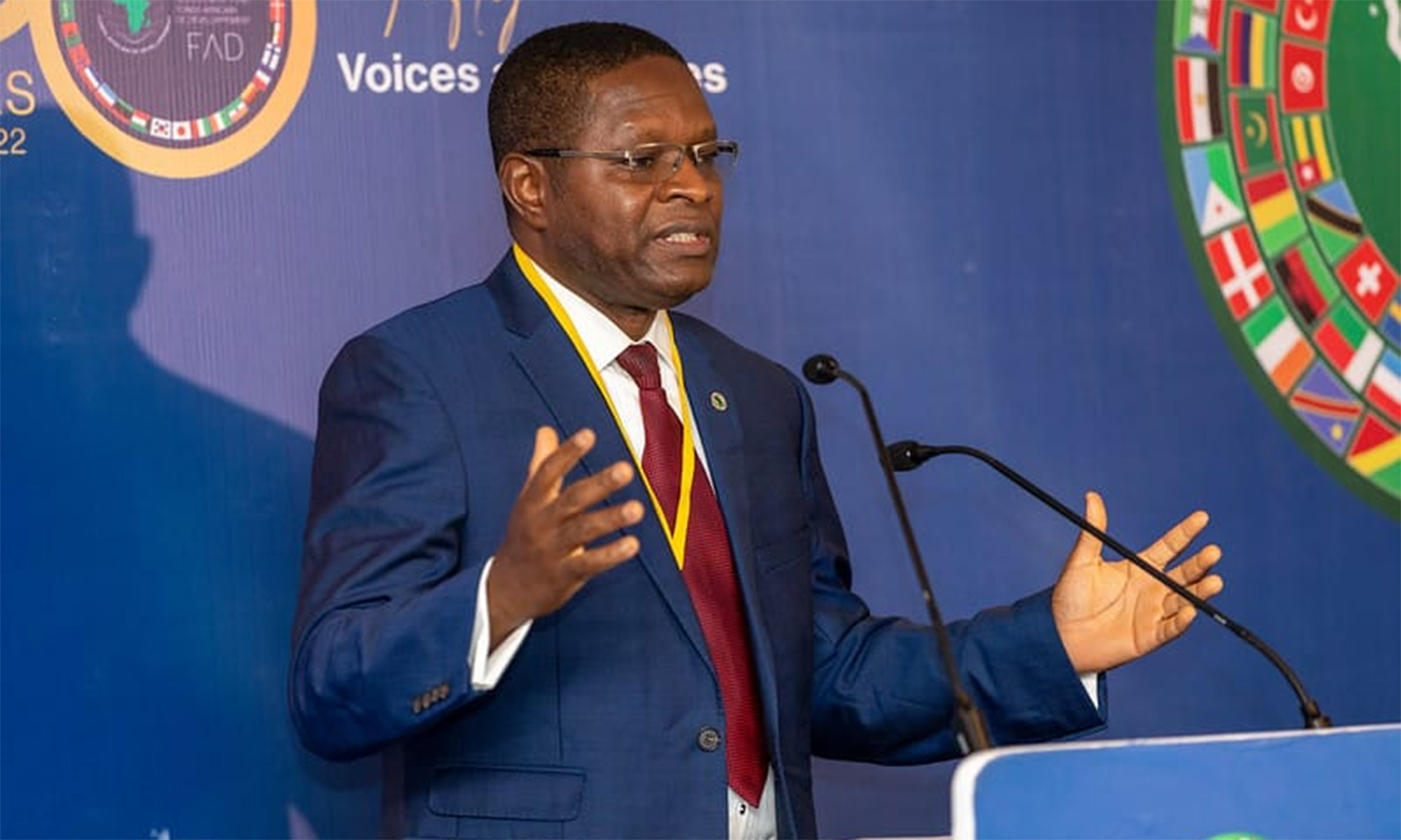 Africa must look inward for development: AfDB