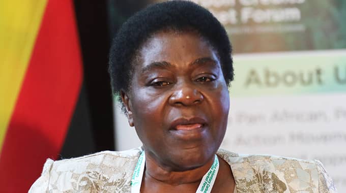 Minister lauds Bulawayo for supporting successful ZITF showcase