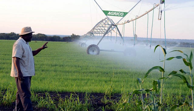 ARDA has unveiled an ambitious plan to plant 60 000 hectares of winter wheat during the 2025 season