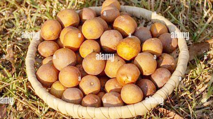 Traditional foods: A legacy of healthier living