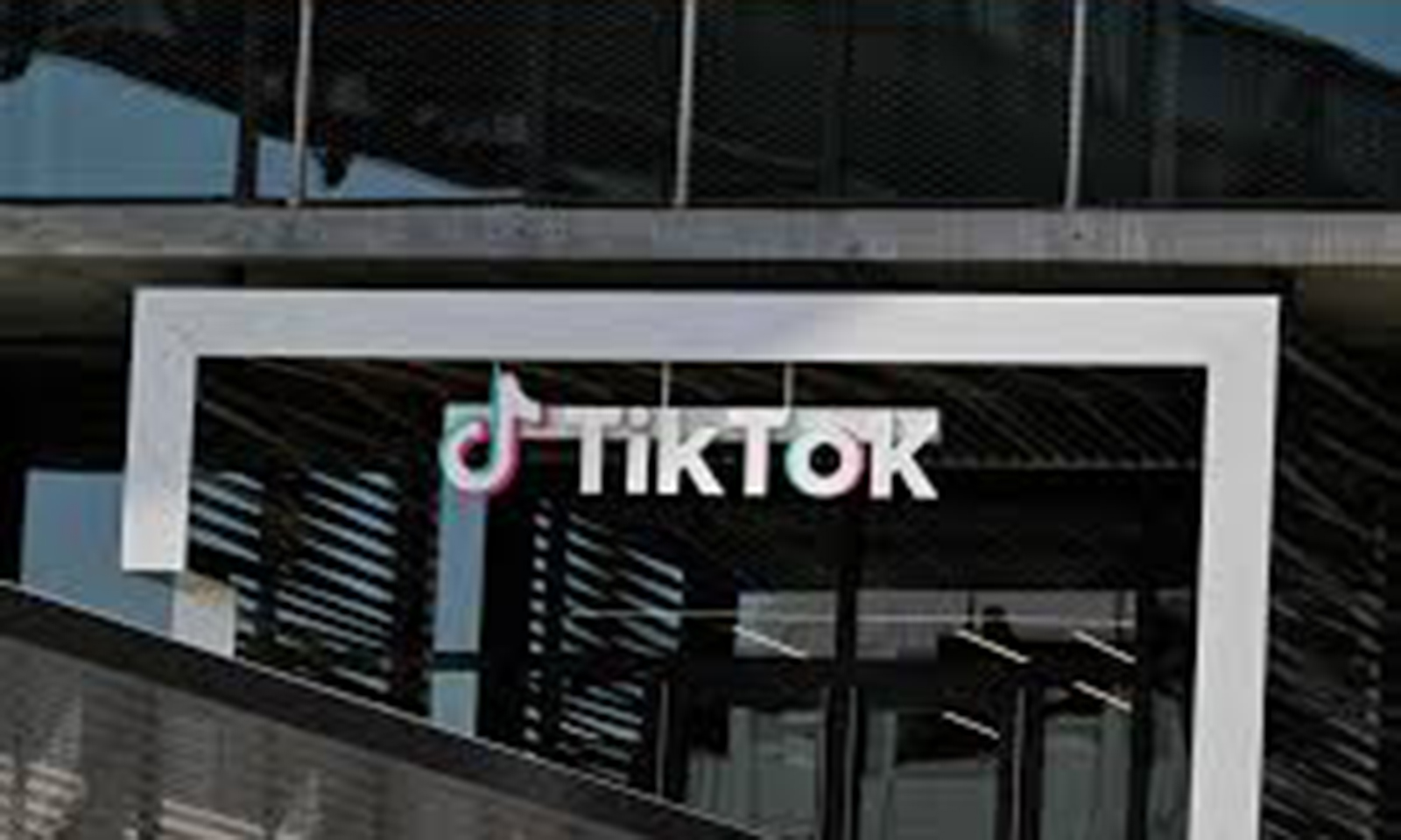 TikTok drives ByteDance’s 29pc growth