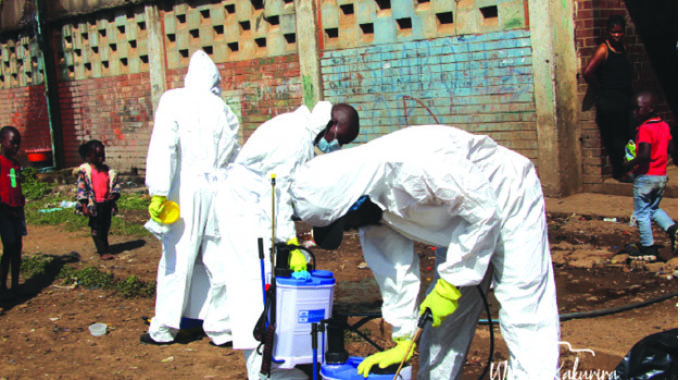 Harare council steps up war against bed bugs