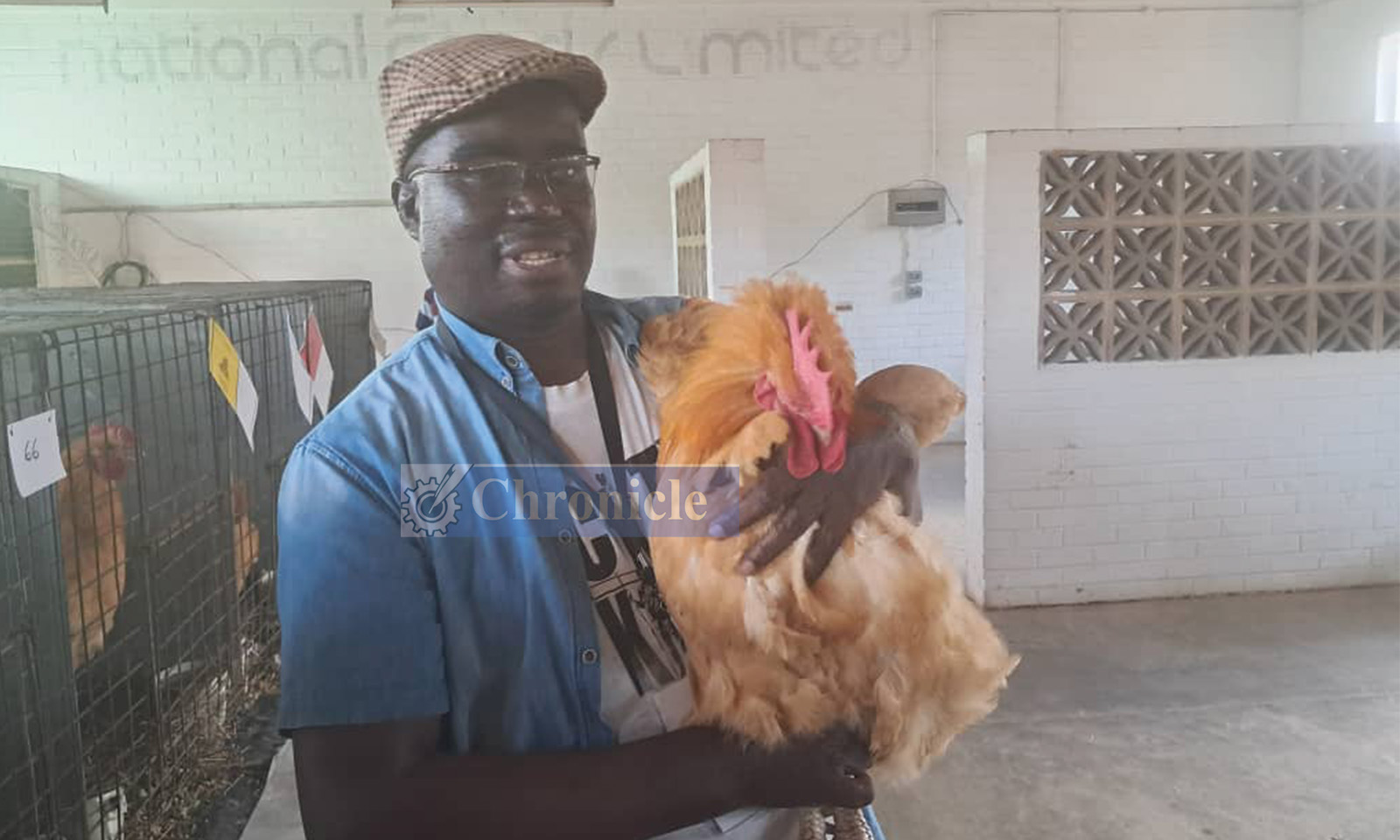 Would you spend R4 500 on a rooster?