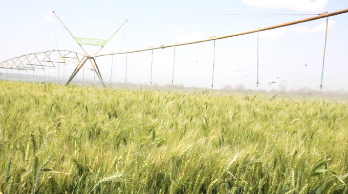 Zimpapers to host high-level winter crop revolution indaba