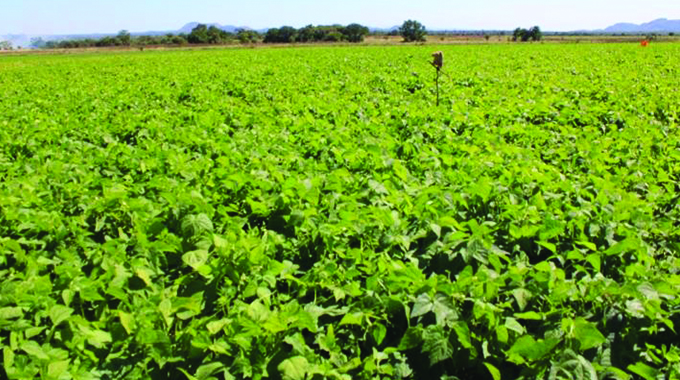 Silalatshani farmers reap benefits of contract farming partnership