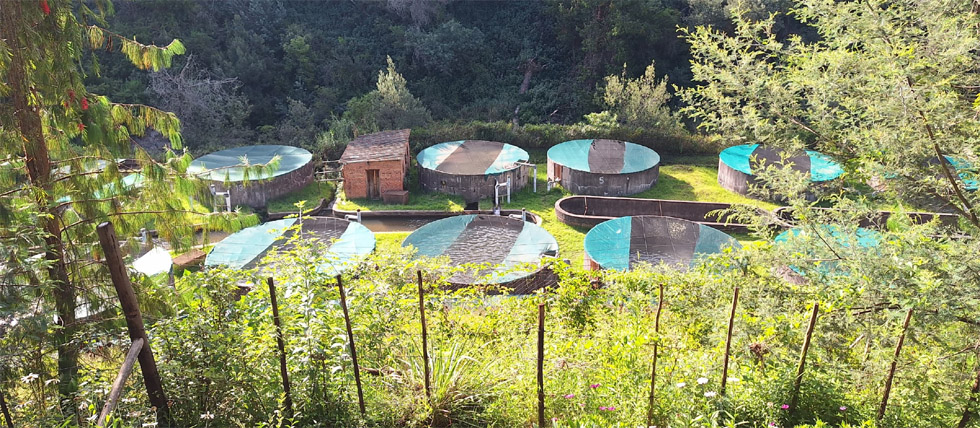 Nyakupinga: The hidden gem of Nyanga’s winding roads