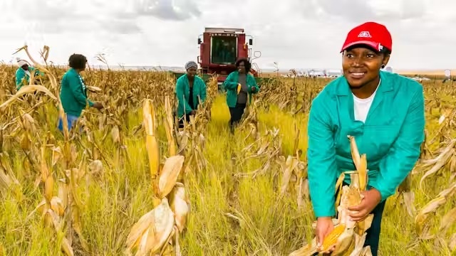 Agriculture contributes between 30 to 40 percent to Sub-Saharan Africa’s gross domestic product