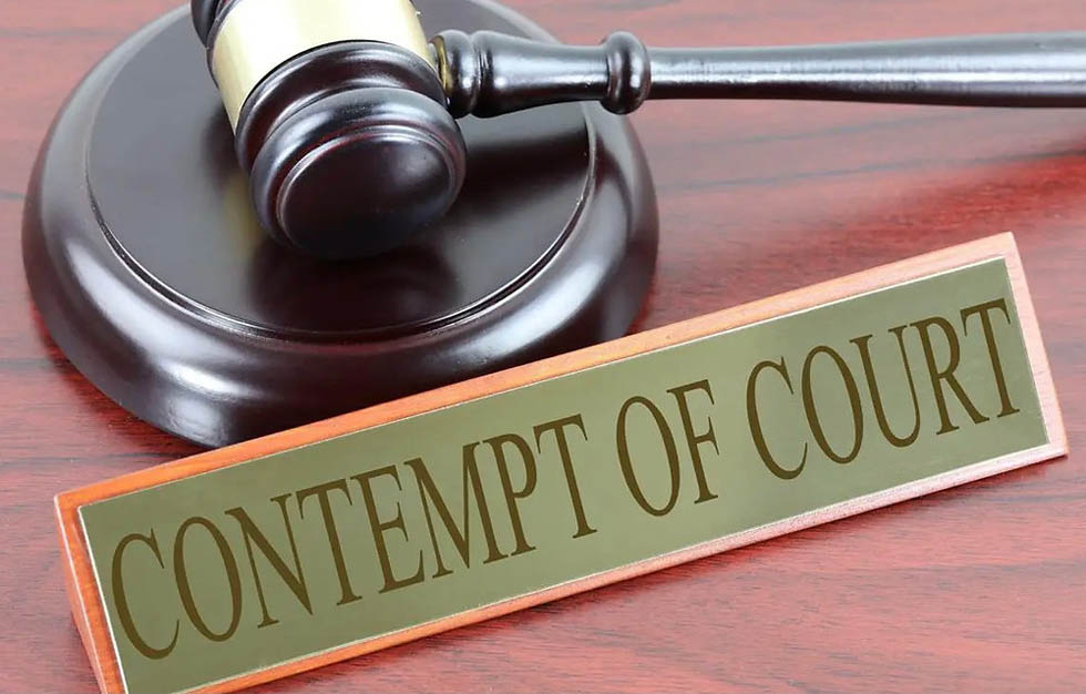 The duo allegedly breached a High Court order by storming a quarry mine in Mutare