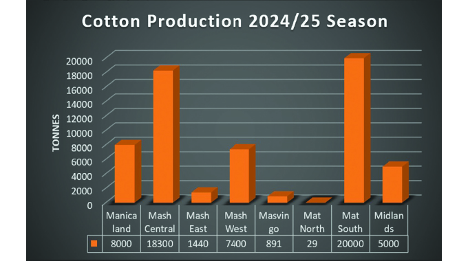 Zim evaluates cotton GMOs to reboot sector