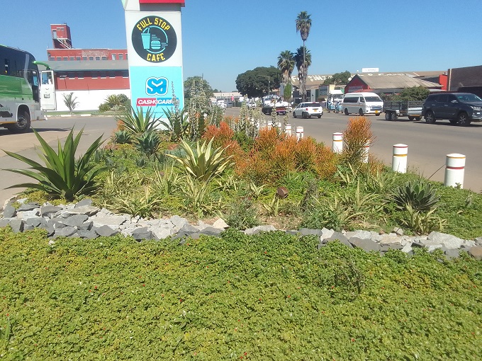 Comparing natural and artificial landscapes