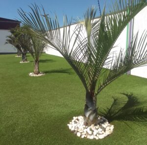 With the advent of technology, various materials can now be manufactured and some of them can replace natural grass for greening purposes