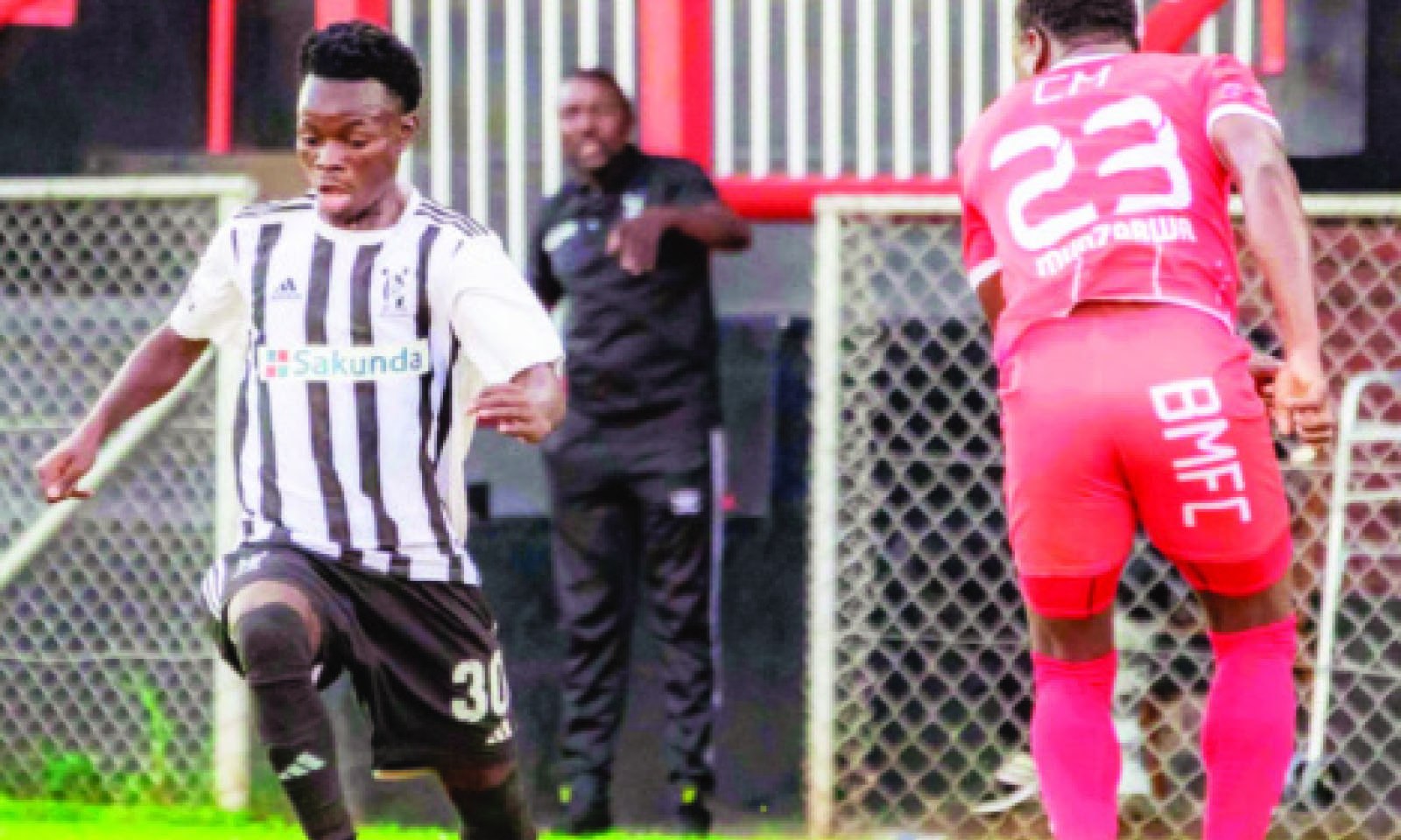 Sugar Sugar: Kaindu’s huge gamble