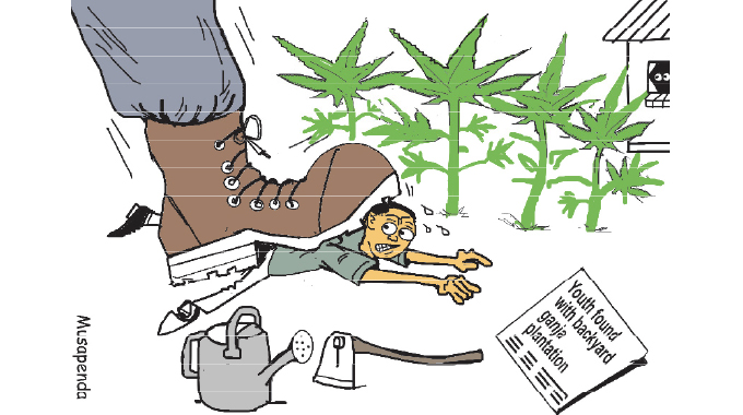 Main Cartoon 19 May 2025
