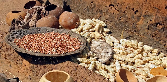 The science behind Africa’s fermented superfoods