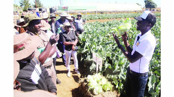 Seed Co promotes vegetable varieties