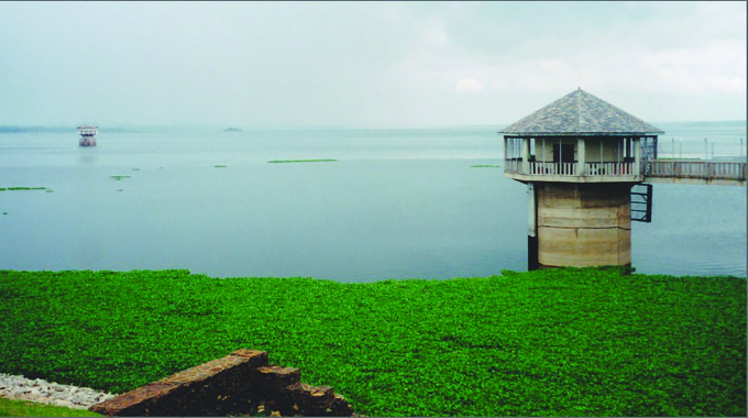 EMA issues warning on invasive species