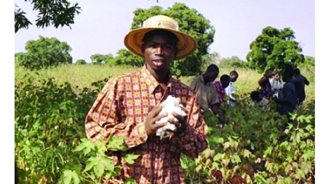 Farmers call for self-funded cotton