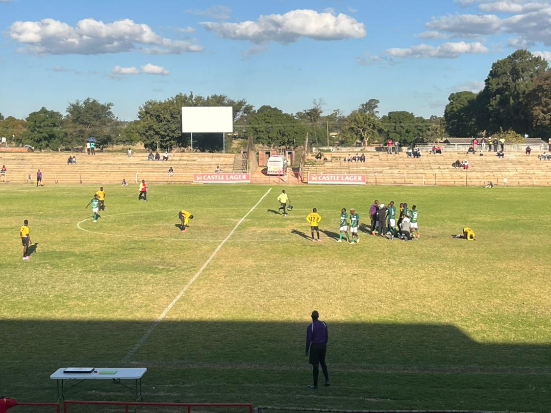 CLASH OF THE CROCS! Gamecocks Look to Fry GreenFuel at Luveve Showdown