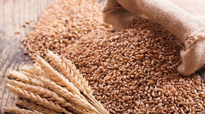 GMB continues to intensify efforts to enhance productivity and production of the crop to help the country increase wheat-based food self-sufficiency
