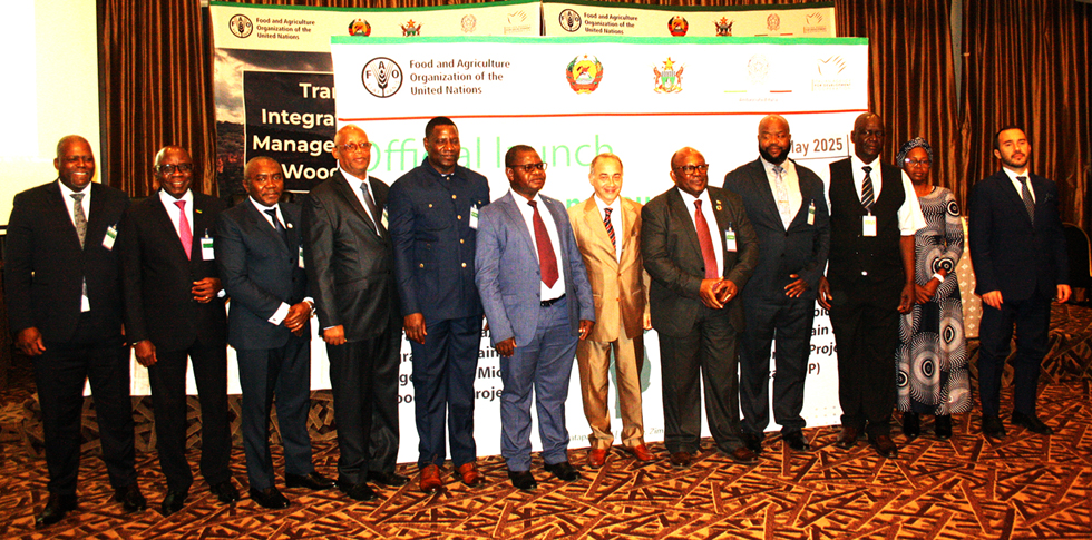 Zimbabwe, Mozambique forge a greener future