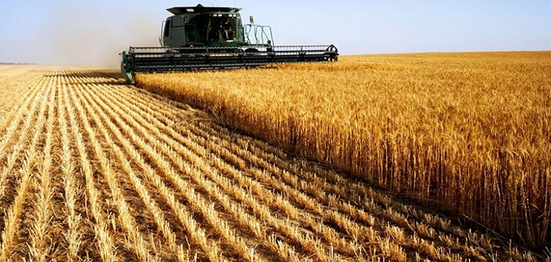 Wheat farmers to up hectarage