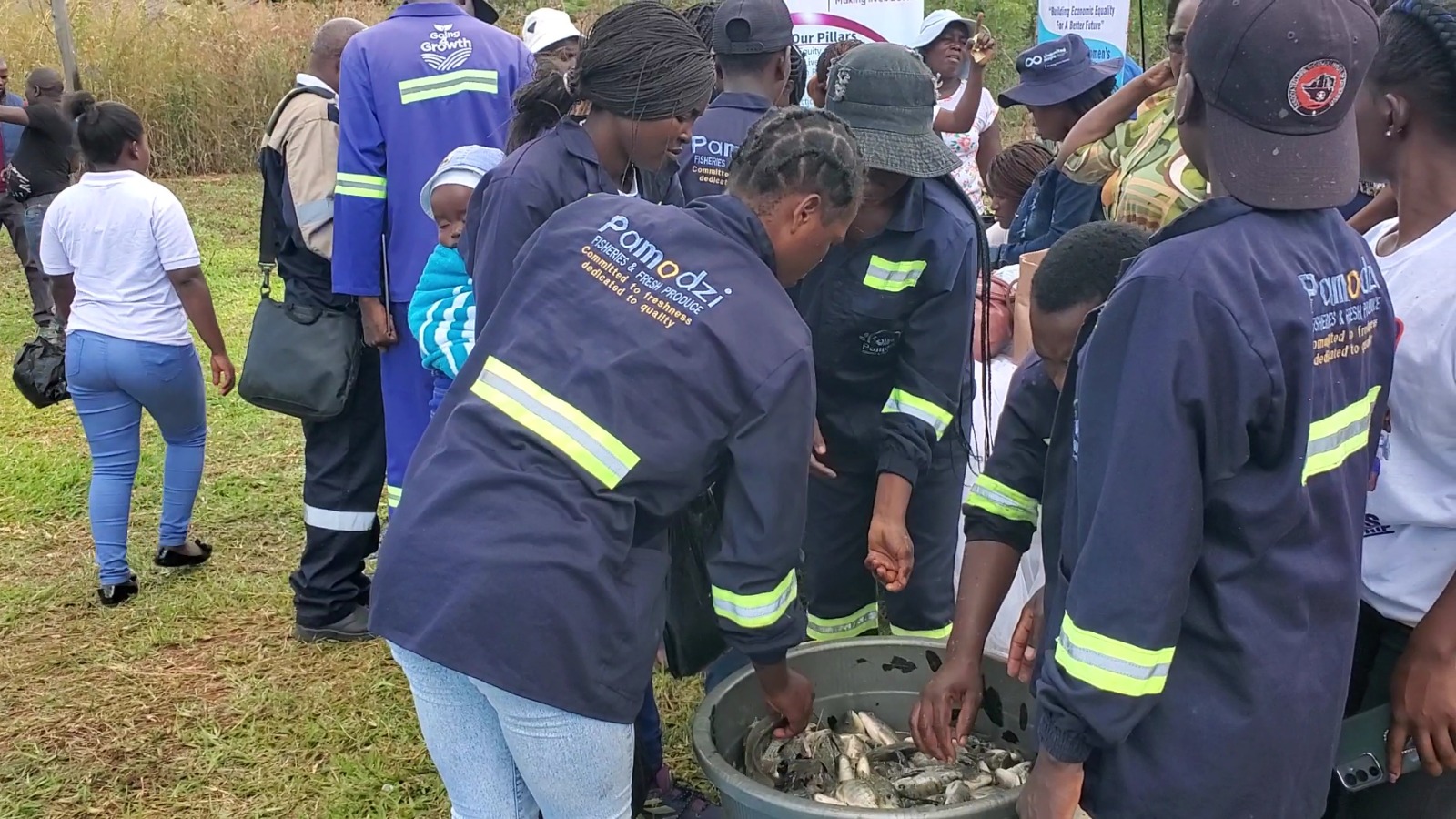 Former sex workers, teenage mothers celebrate first fish harvest