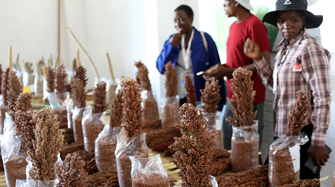 Bulawayo Agricultural Show a resounding success