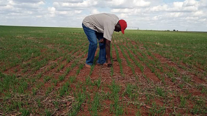 Budgeting gives farmers a clear picture of financial situation