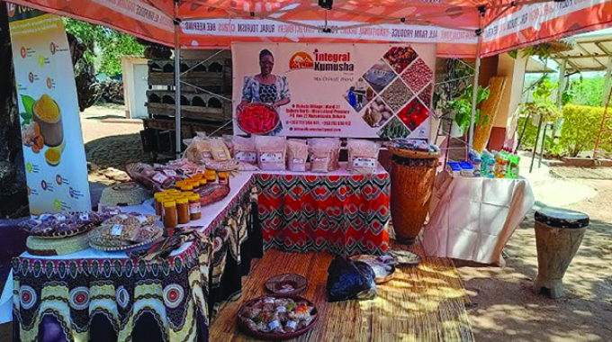 Globalising sustainability through Nkakanomics: The Amai Chimuti Brand approach
