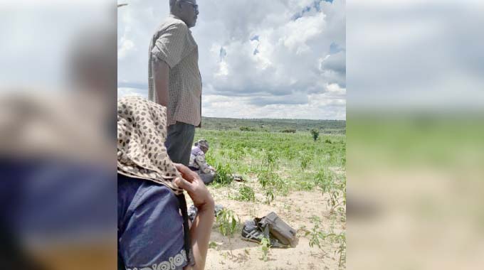 A blow-by-blow account of a Hurungwe family at war with liberation-era spirits