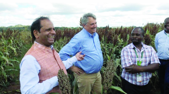 Strengthening seed systems in Zimbabwe