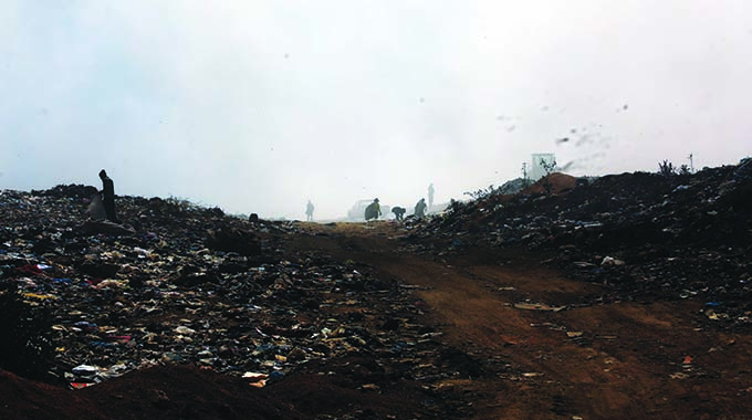 Fire breaks out at Richmond Landfill Site: Residents advised to wear face masks