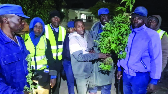 Ubotshelwa ukulima imbanje