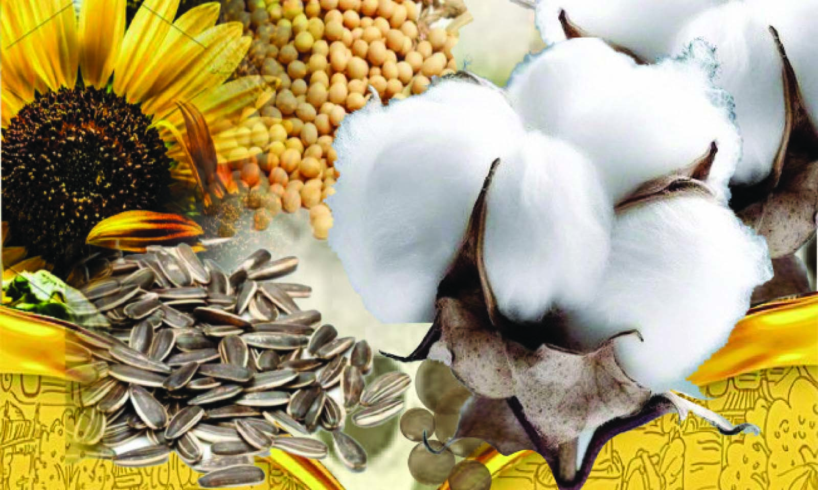 Zimpapers hosts oilseeds conference