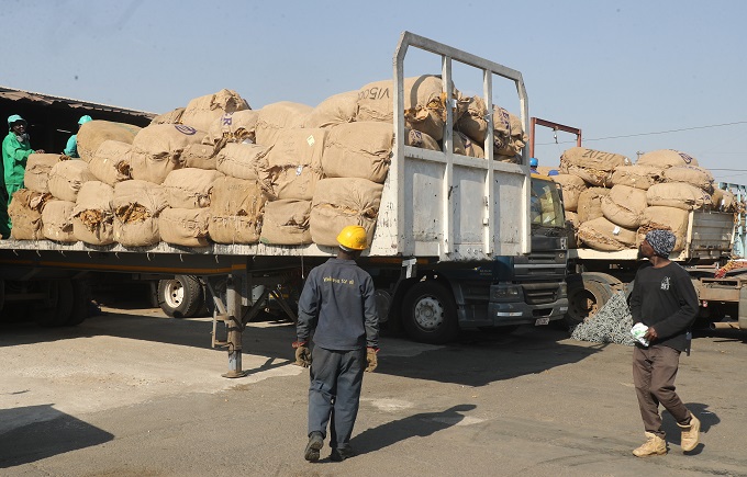 Tobacco bales being taken to a storage facility at Premier Tobacco Auction Floors recently. — Picture: Kudakwashe Hunda