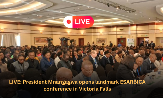 LIVE: President Mnangagwa opens landmark ESARBICA conference in Victoria Falls