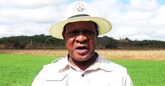 Minister Masuka