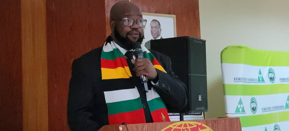 Alarm over disappearing forests in Manicaland