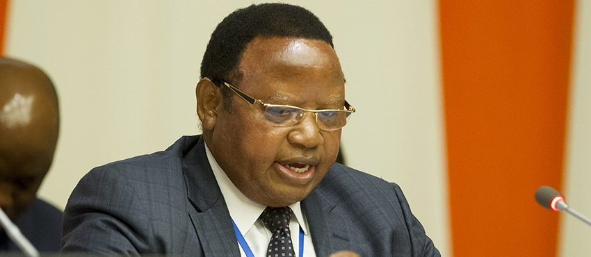 Minister Shava