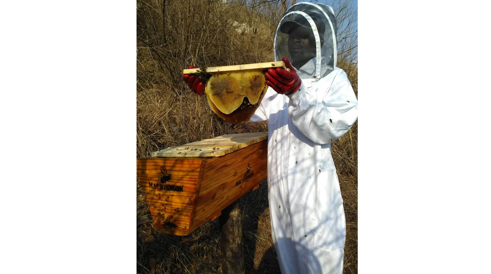 Province sitting on apiculture potential