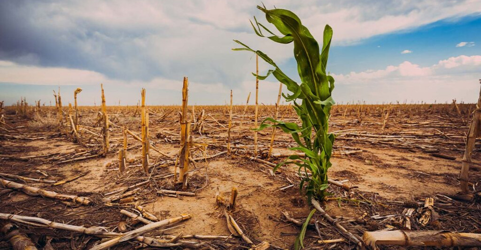 The initiative is aimed at building climate-smart resilience in drought-prone areas