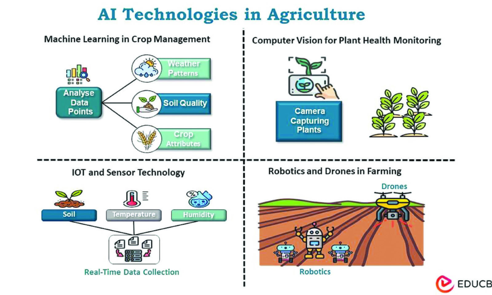 Harnessing AI to transform agriculture