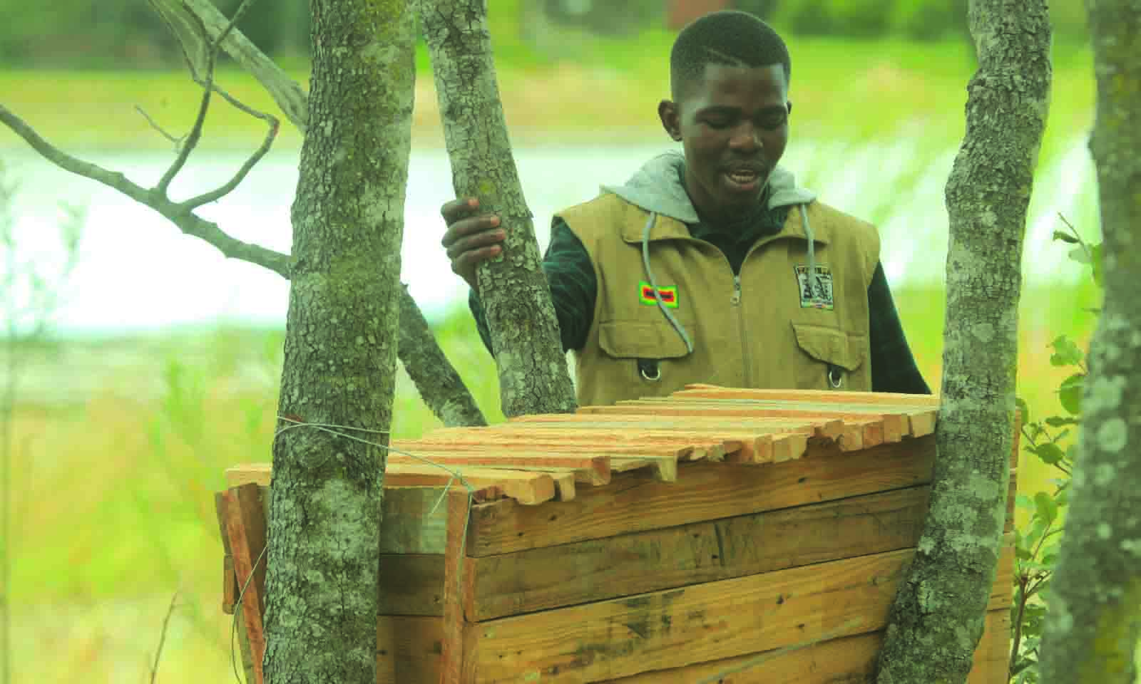 From soil to sovereignty: 24-year-old cultivates Zimbabwe’s future