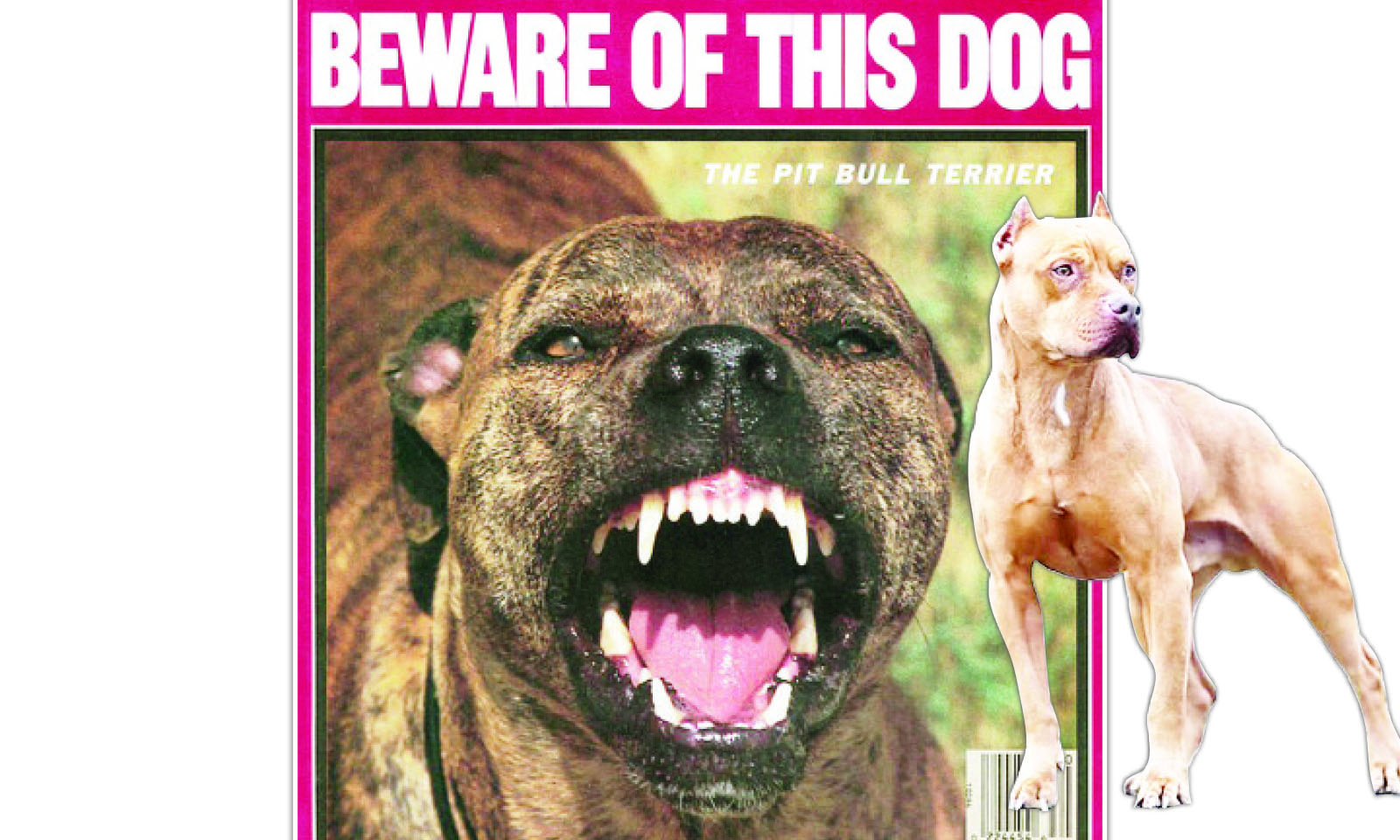 THE WORLD’S MOST DANGEROUS DOG…. . . Attacks without warning, many attacks occur without provocation . . . Relentless in its attack, once it initiates an attack, it’s hard to stop . . . Frighteningly tenacious, its attacks frequently last for 15 minutes . . . Nothing − noises, violent blows or kicks − can easily stop an attack
