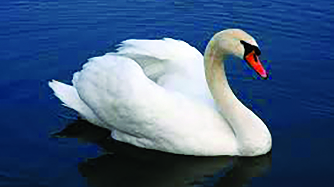 Poise over perfection . . . The art of grace under pressure