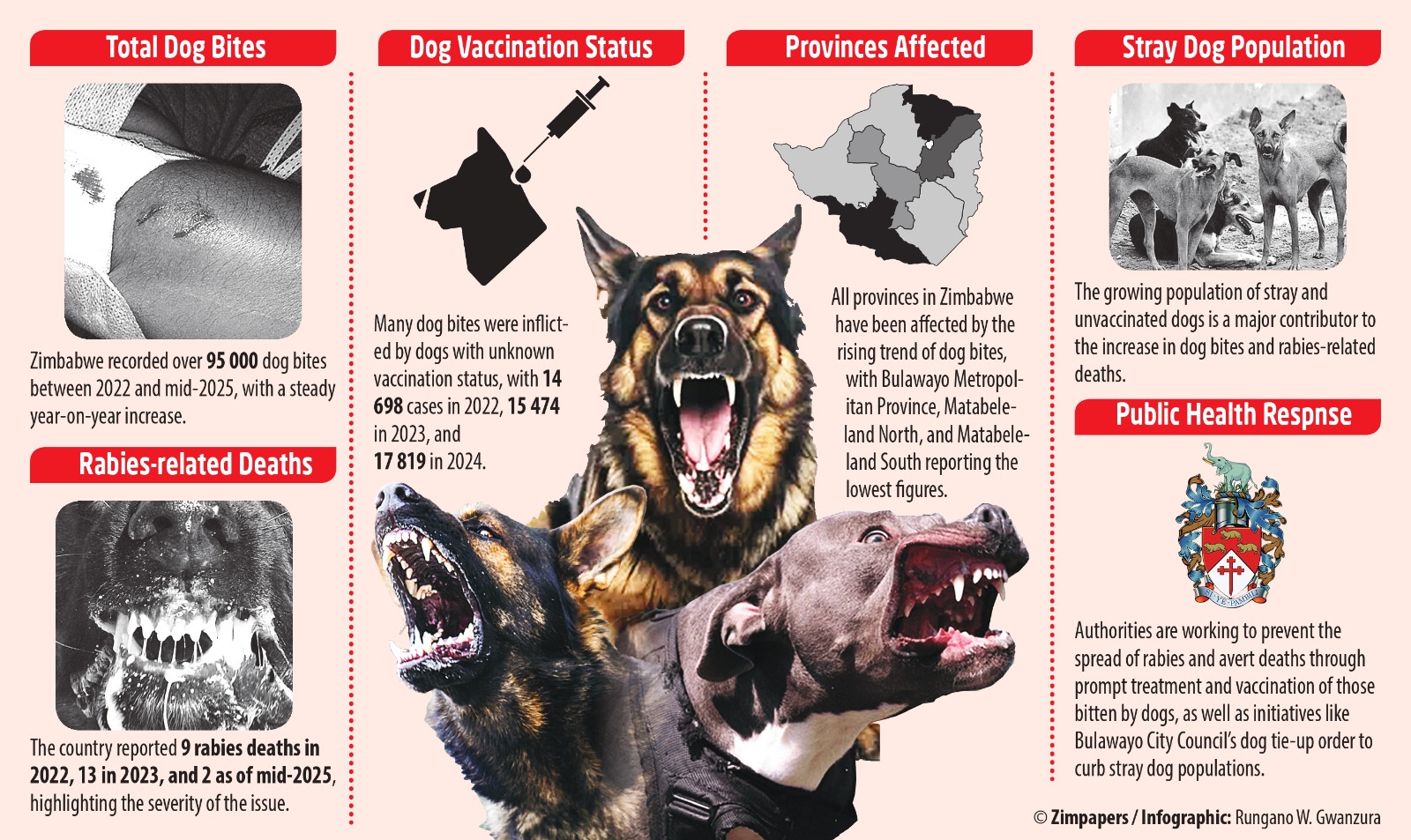 Zimbabwe rallies national resolve to eradicate Rabies by 2030 in landmark one health workshop