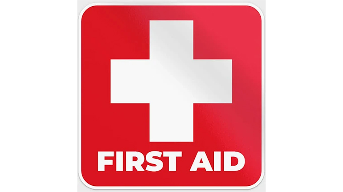 Future lifesavers shine at regional first aid contest