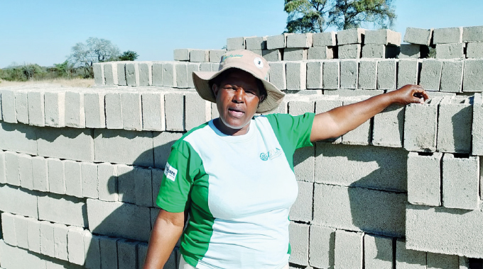 Insiza women-led advocacy pools resources for new school project